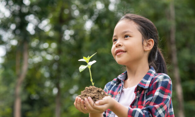 Você sabe qual é a relação entre climatização e meio ambiente?