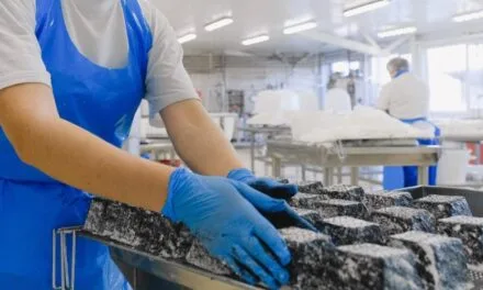 A importância da climatização em espaços de trabalho: impactos na produtividade