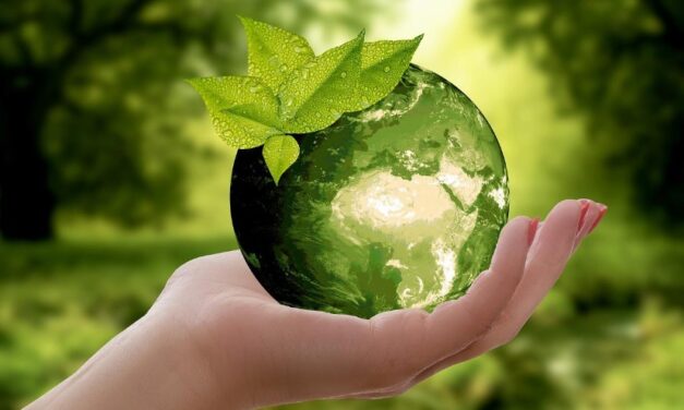 Climatização sustentável: como escolher soluções amigáveis ao meio ambiente?