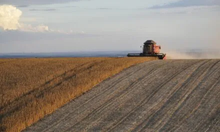 Climatização no agronegócio: Como o estresse térmico afeta a produção animal e o armazenamento de grãos